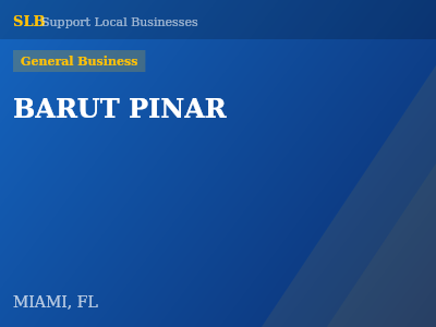 BARUT PINAR — General Business in MIAMI, FL
