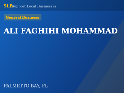 ALI FAGHIHI MOHAMMAD — General Business in PALMETTO BAY, FL
