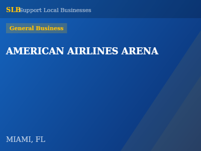 AMERICAN AIRLINES ARENA — General Business in MIAMI, FL