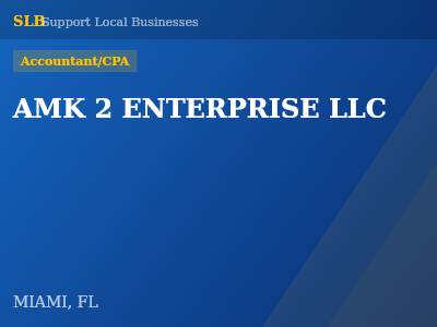 AMK 2 ENTERPRISE LLC — Accountant/CPA in MIAMI, FL