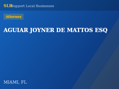 AGUIAR JOYNER DE MATTOS ESQ — Attorney in MIAMI, FL