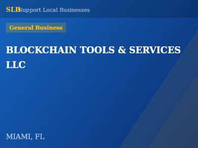 BLOCKCHAIN TOOLS & SERVICES LLC — General Business in MIAMI, FL
