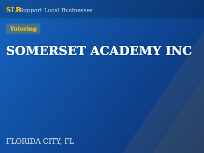 SOMERSET ACADEMY INC — Tutoring in FLORIDA CITY, FL