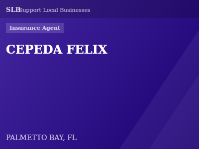 CEPEDA FELIX — Insurance Agent in PALMETTO BAY, FL