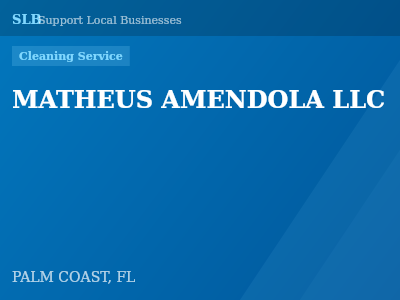 MATHEUS AMENDOLA LLC — Cleaning Service in PALM COAST, FL