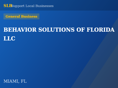 BEHAVIOR SOLUTIONS OF FLORIDA LLC — General Business in MIAMI, FL