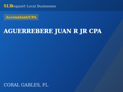 AGUERREBERE JUAN R JR CPA — Accountant/CPA in CORAL GABLES, FL