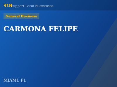 CARMONA FELIPE — General Business in MIAMI, FL