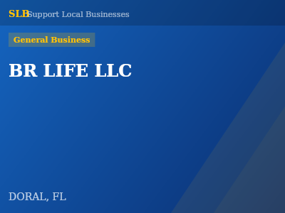 BR LIFE LLC — General Business in DORAL, FL