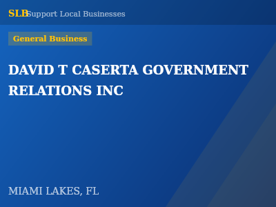 DAVID T CASERTA GOVERNMENT RELATIONS INC — General Business in MIAMI LAKES, FL