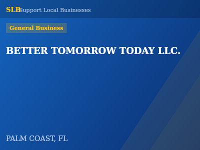 BETTER TOMORROW TODAY LLC. — General Business in PALM COAST, FL