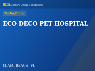 ECO DECO PET HOSPITAL — Doctor/Clinic in MIAMI BEACH, FL