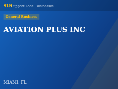 AVIATION PLUS INC — General Business in MIAMI, FL