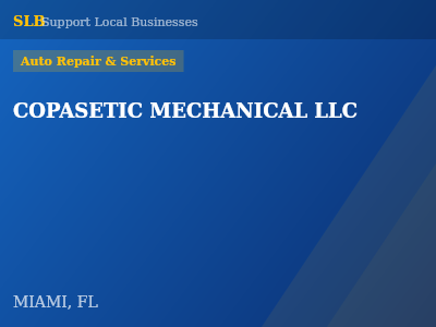 COPASETIC MECHANICAL LLC — Auto Repair & Services in MIAMI, FL