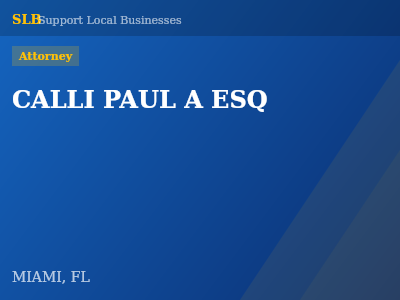 CALLI PAUL A ESQ — Attorney in MIAMI, FL