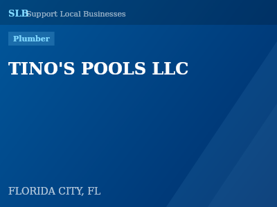 TINO'S POOLS LLC — Plumber in FLORIDA CITY, FL