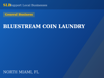BLUESTREAM COIN LAUNDRY — General Business in NORTH MIAMI, FL