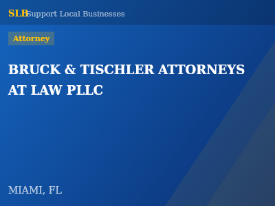 BRUCK & TISCHLER ATTORNEYS AT LAW PLLC — Attorney in MIAMI, FL