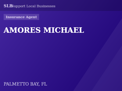 AMORES MICHAEL — Insurance Agent in PALMETTO BAY, FL