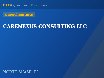 CARENEXUS CONSULTING LLC — General Business in NORTH MIAMI, FL