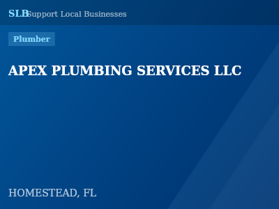 APEX PLUMBING SERVICES LLC — Plumber in HOMESTEAD, FL