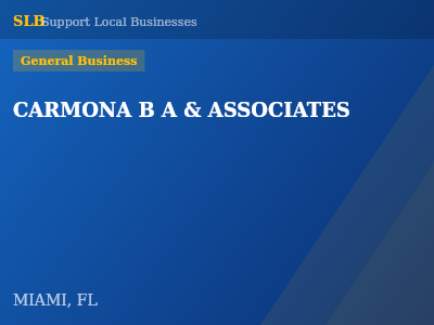 CARMONA B A & ASSOCIATES — General Business in MIAMI, FL