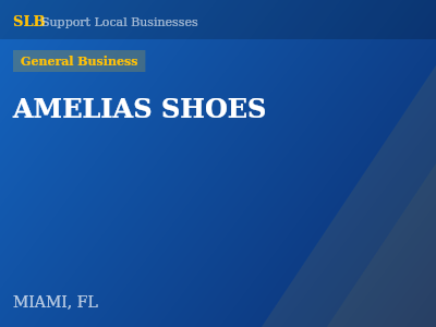 AMELIAS SHOES — General Business in MIAMI, FL
