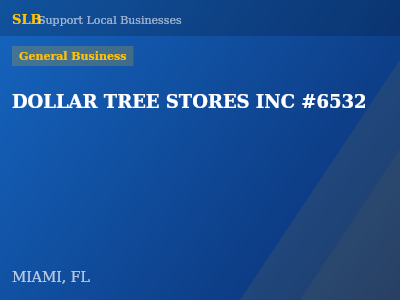 DOLLAR TREE STORES INC #6532 — General Business in MIAMI, FL