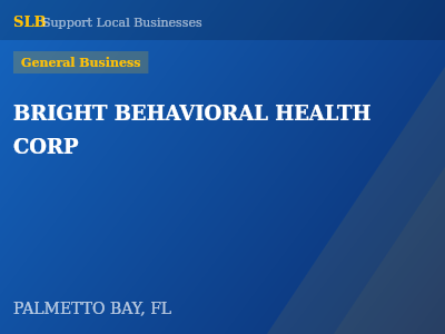 BRIGHT BEHAVIORAL HEALTH CORP — General Business in PALMETTO BAY, FL