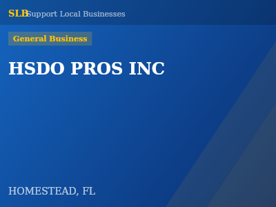 HSDO PROS INC — General Business in HOMESTEAD, FL