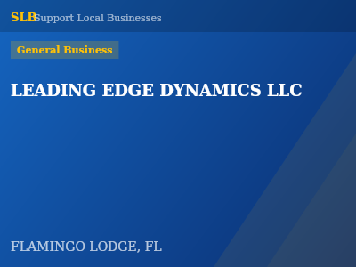 LEADING EDGE DYNAMICS LLC — General Business in FLAMINGO LODGE, FL