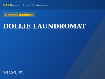 DOLLIE LAUNDROMAT — General Business in MIAMI, FL