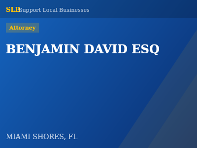 BENJAMIN DAVID ESQ — Attorney in MIAMI SHORES, FL