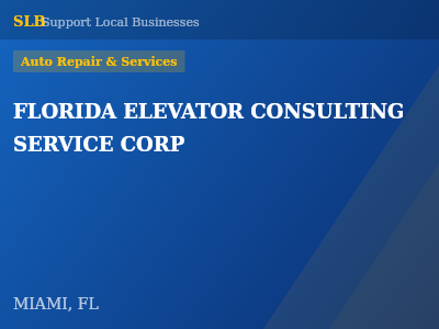 FLORIDA ELEVATOR CONSULTING SERVICE CORP — Auto Repair & Services in MIAMI, FL