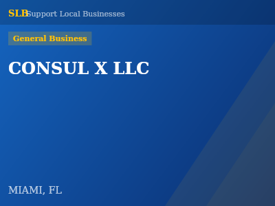 CONSUL X LLC — General Business in MIAMI, FL