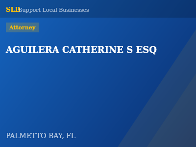 AGUILERA CATHERINE S ESQ — Attorney in PALMETTO BAY, FL