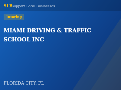 MIAMI DRIVING & TRAFFIC SCHOOL INC — Tutoring in FLORIDA CITY, FL