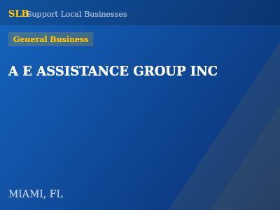 A E ASSISTANCE GROUP INC — General Business in MIAMI, FL
