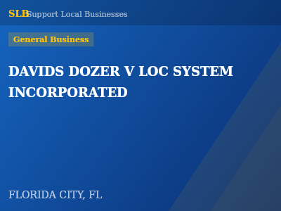 DAVIDS DOZER V LOC SYSTEM INCORPORATED — General Business in FLORIDA CITY, FL