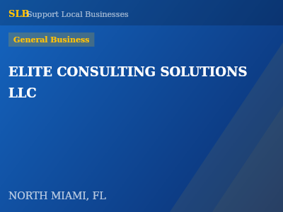 ELITE CONSULTING SOLUTIONS LLC — General Business in NORTH MIAMI, FL