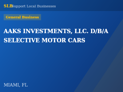 AAKS INVESTMENTS, LLC. D/B/A SELECTIVE MOTOR CARS — General Business in MIAMI, FL