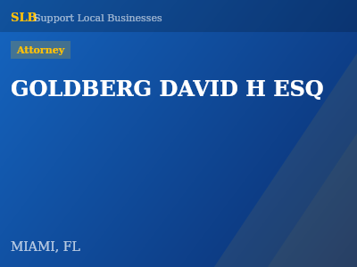 GOLDBERG DAVID H ESQ — Attorney in MIAMI, FL