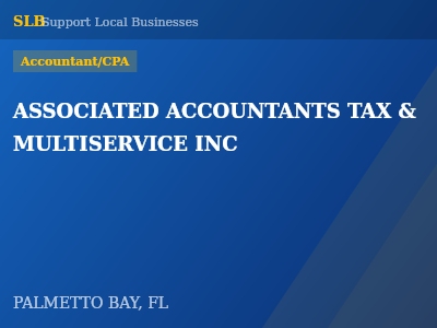 ASSOCIATED ACCOUNTANTS TAX & MULTISERVICE INC — Accountant/CPA in PALMETTO BAY, FL