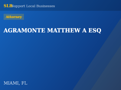 AGRAMONTE MATTHEW A ESQ — Attorney in MIAMI, FL