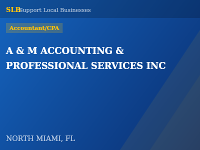 A & M ACCOUNTING & PROFESSIONAL SERVICES INC — Accountant/CPA in NORTH MIAMI, FL
