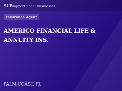 AMERICO FINANCIAL LIFE & ANNUITY INS. — Insurance Agent in PALM COAST, FL
