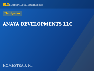 ANAYA DEVELOPMENTS LLC — Handyman in HOMESTEAD, FL