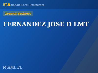 FERNANDEZ JOSE D LMT — General Business in MIAMI, FL