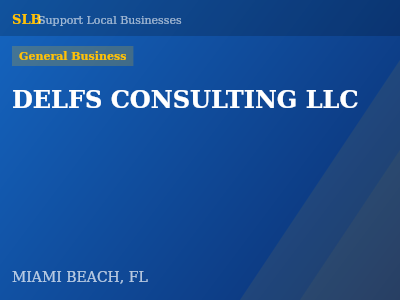 DELFS CONSULTING LLC — General Business in MIAMI BEACH, FL
