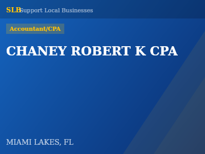 CHANEY ROBERT K CPA — Accountant/CPA in MIAMI LAKES, FL